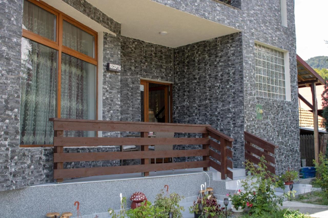 Pensiunea Ricky Căpăţîneni-Ungureni Esterno foto