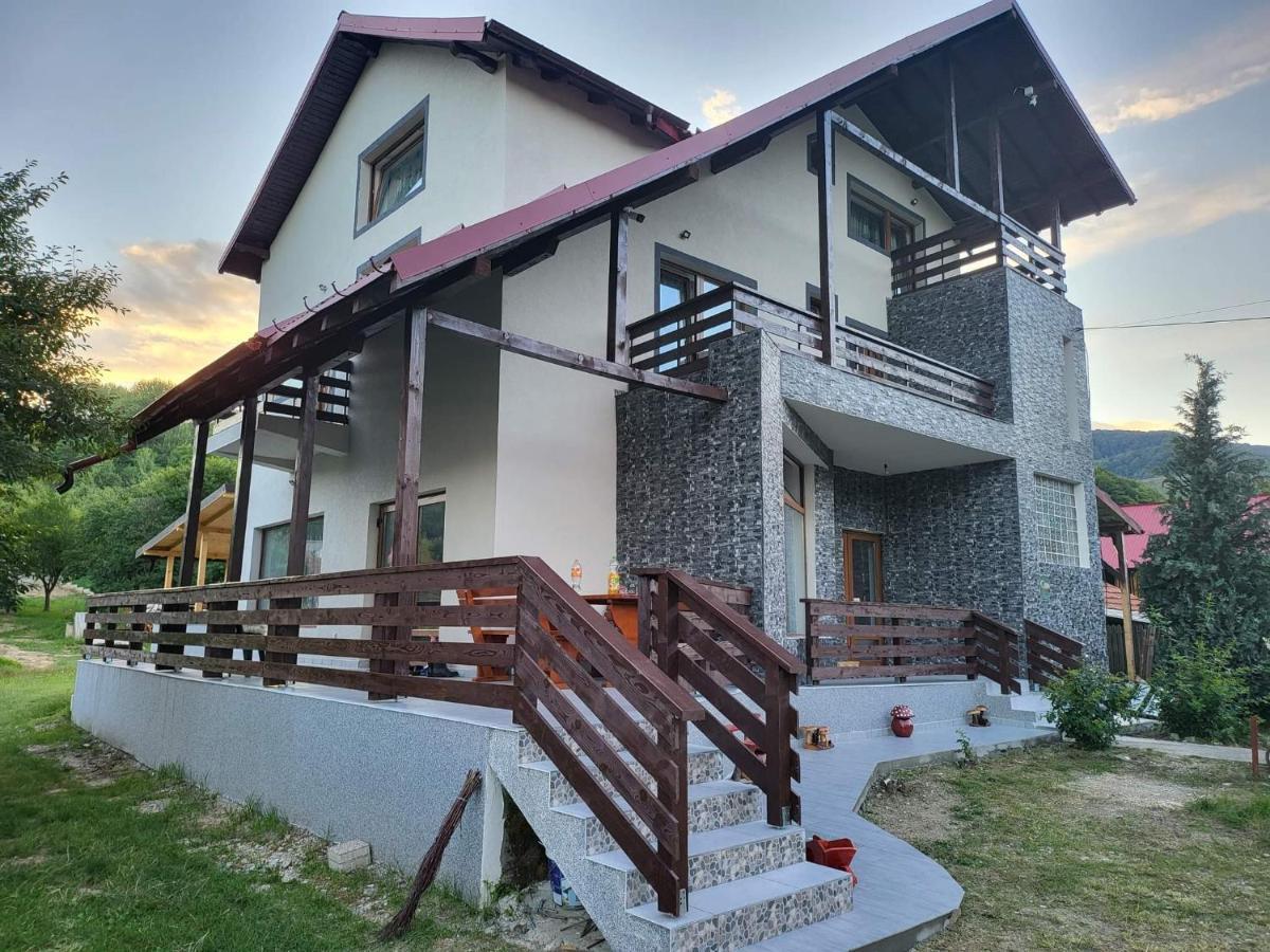 Pensiunea Ricky Căpăţîneni-Ungureni Esterno foto