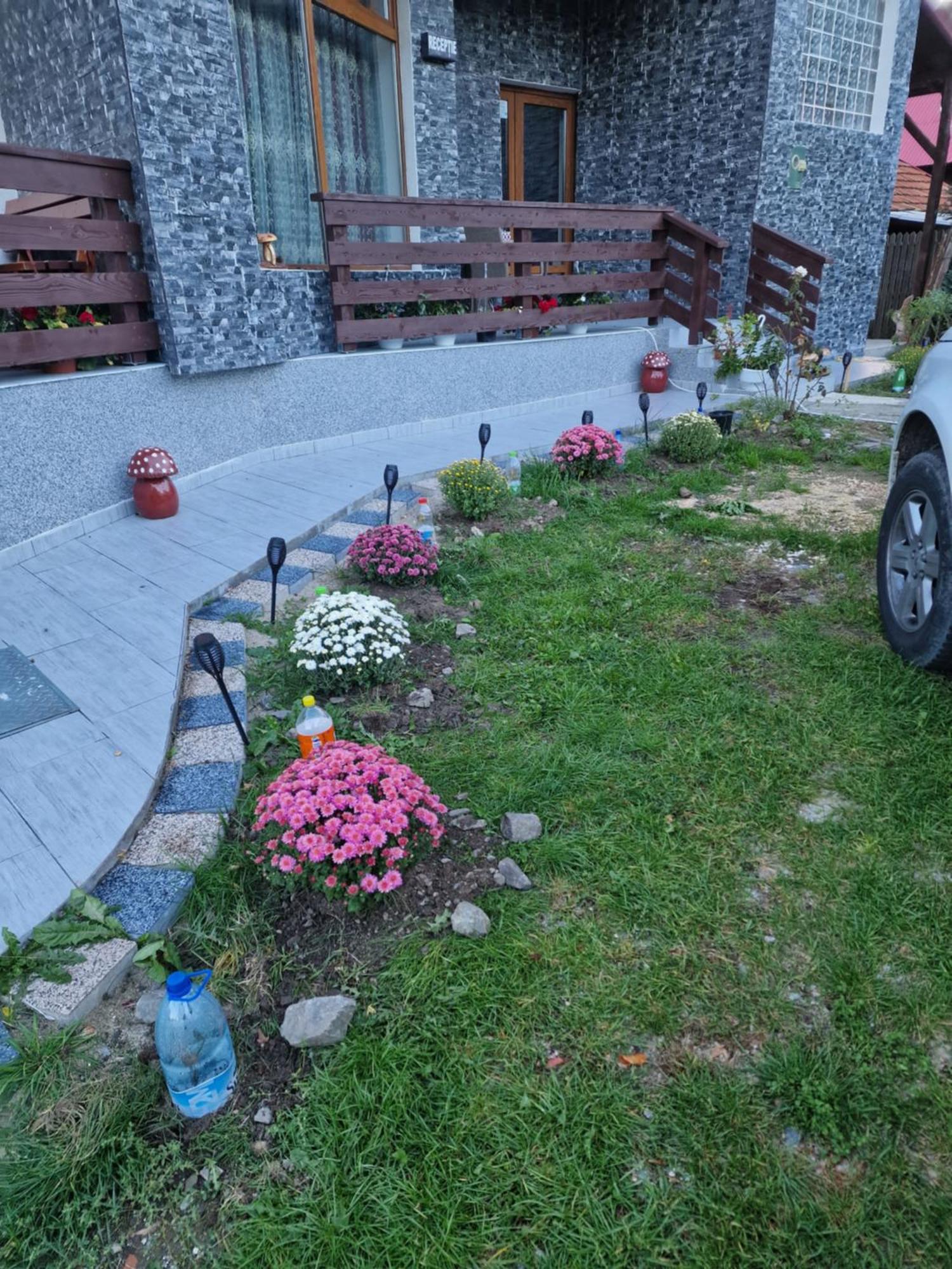 Pensiunea Ricky Căpăţîneni-Ungureni Esterno foto